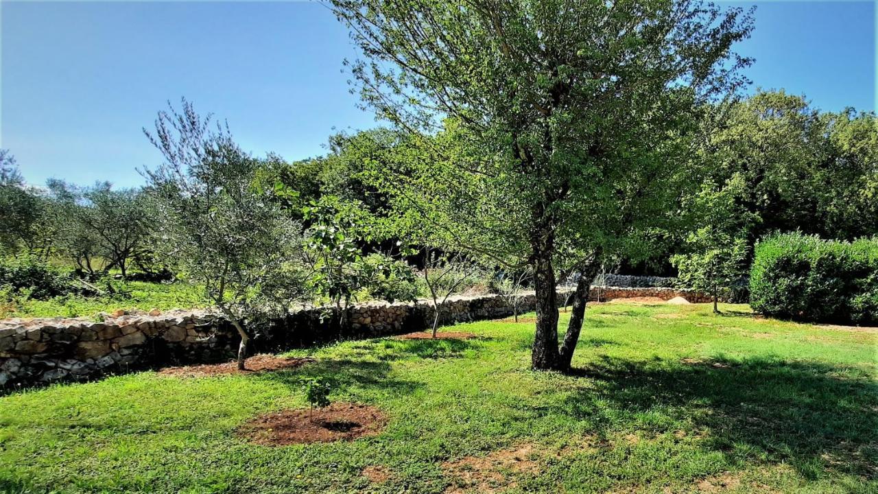 Holiday House Vela Vrta Sveti Ivan Dobrinjski Εξωτερικό φωτογραφία
