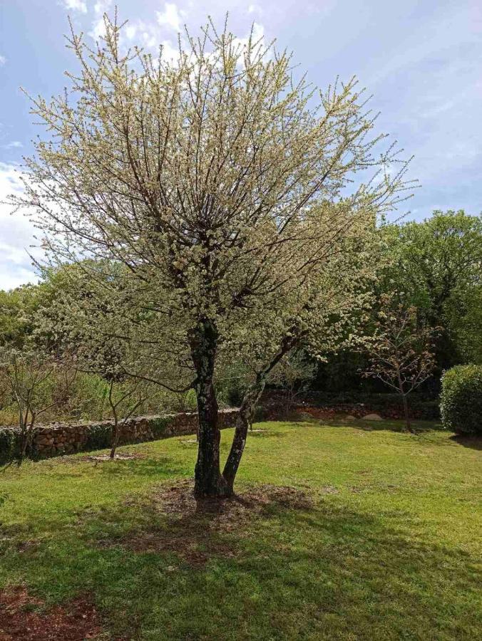Holiday House Vela Vrta Sveti Ivan Dobrinjski Εξωτερικό φωτογραφία