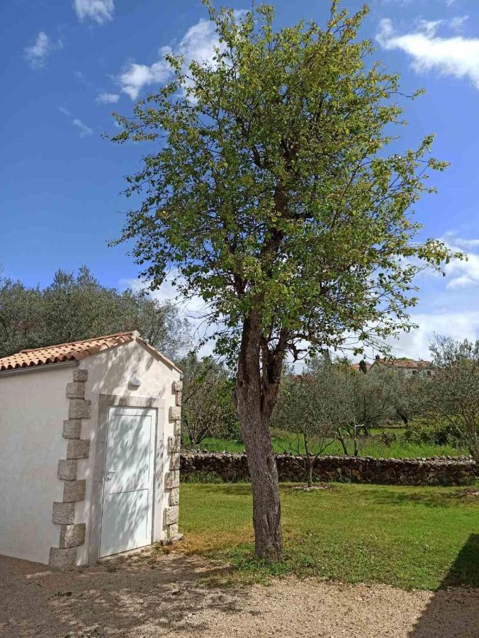 Holiday House Vela Vrta Sveti Ivan Dobrinjski Εξωτερικό φωτογραφία