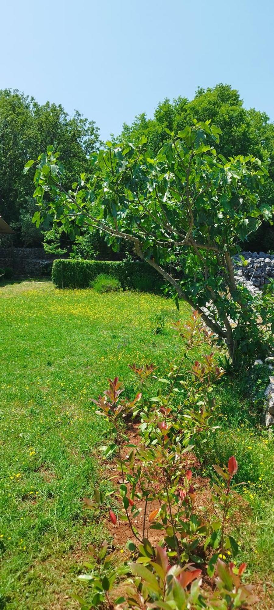 Holiday House Vela Vrta Sveti Ivan Dobrinjski Εξωτερικό φωτογραφία